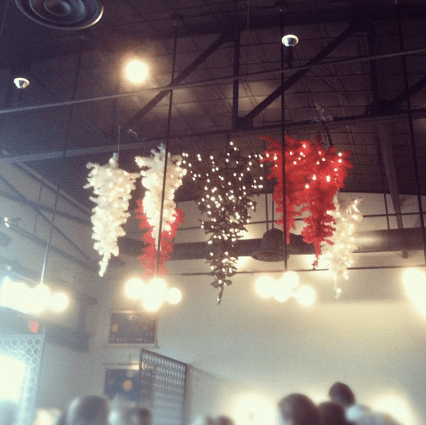 crazy upside down trees