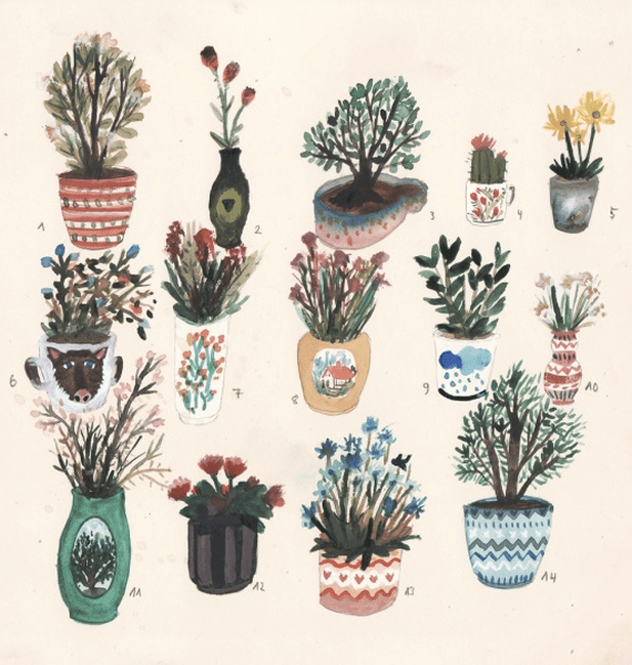 pots and plants 1