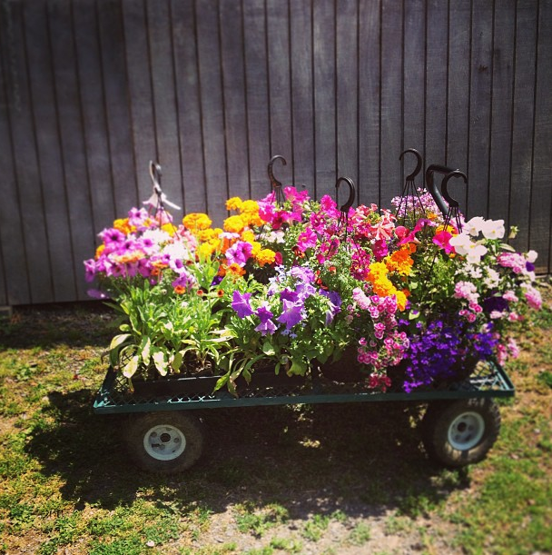 wagon of flowers
