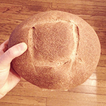 sourdough wheat bread