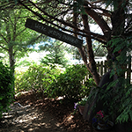 rustic wooden painted wedding sign