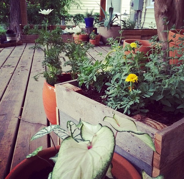 Screen Shot 2014-05-15 at 9.33.02 AM