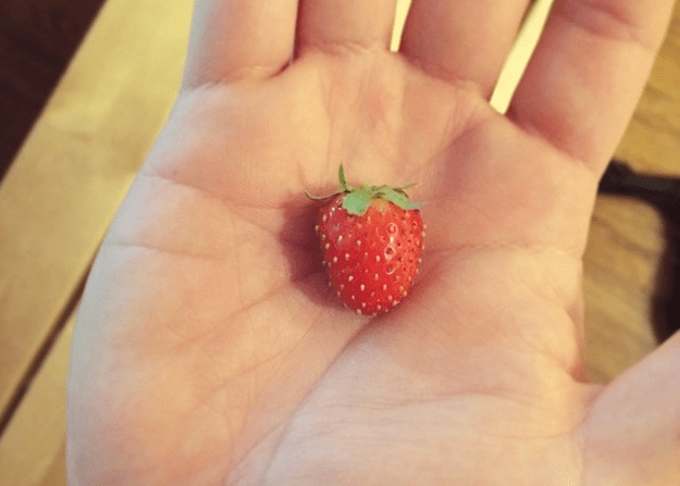 firststrawberry