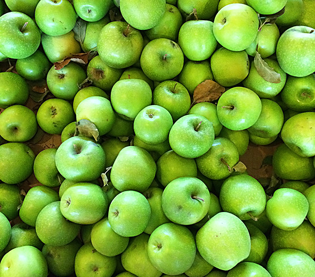 apples1