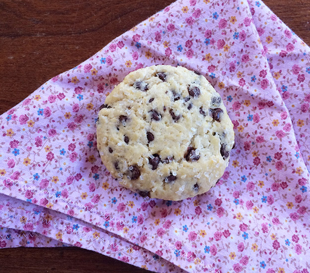 chocolate chip scone