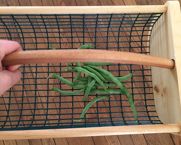 greenbeans1