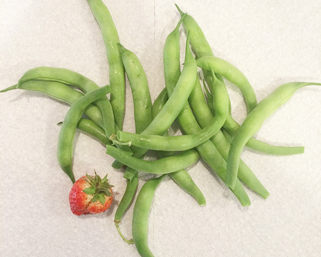 greenbeans2